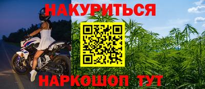 герыч Кингисепп