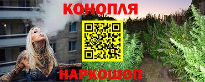герыч Кингисепп