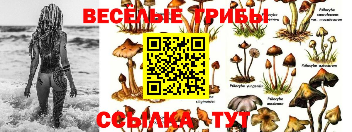 Псилоцибиновые грибы MAGIC MUSHROOMS Котовск